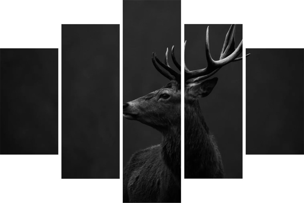Obraz - Portrét jeleňa (150x105 cm)