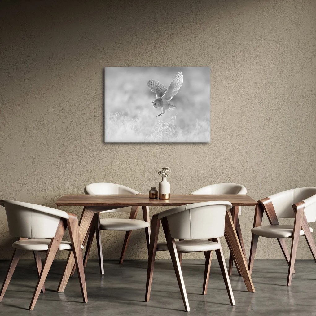 Obraz - Sova v poli (70x50 cm)