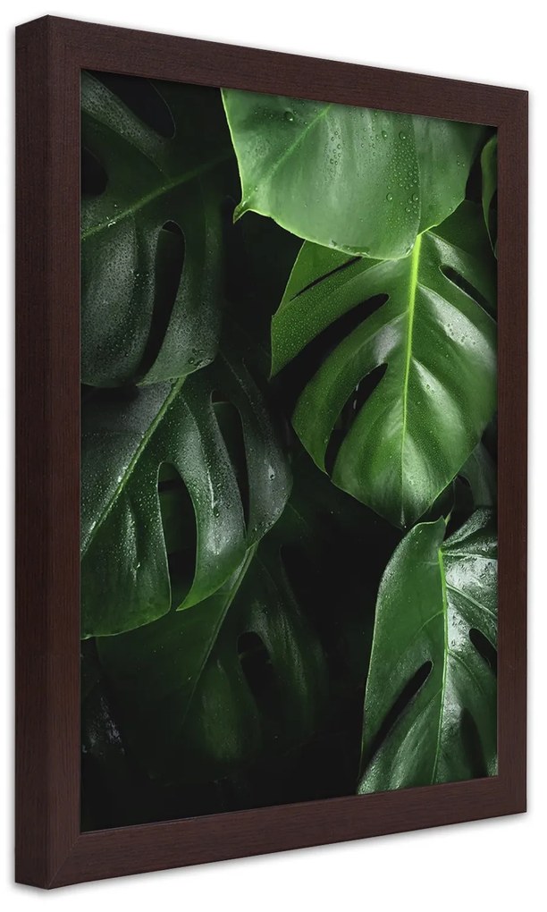 Gario Plagát Šťavnatá zelená Farba rámu: Bez rámu, Rozmery: 40 x 60 cm