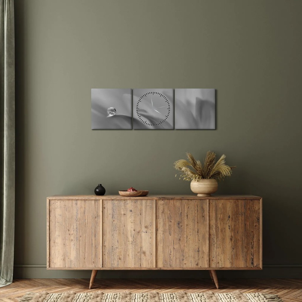 Obraz - Kvapka na kvete, čiernobiela (s hodinami) (90x30 cm)