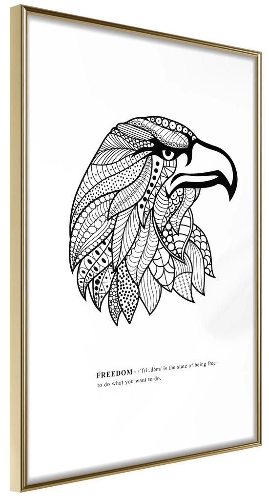 Artgeist Plagát - Eagle of Freedom [Poster] Veľkosť: 30x45, Verzia: Čierny rám s passe-partout