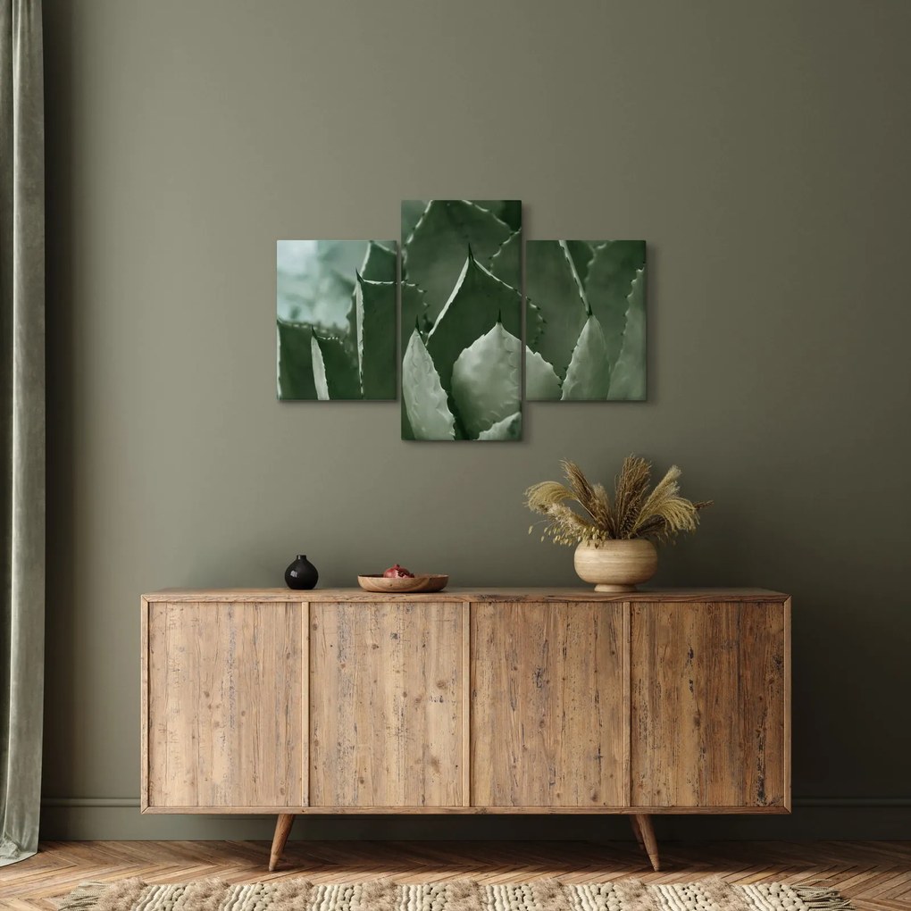 Obraz - Zelená agáve (90x60 cm)