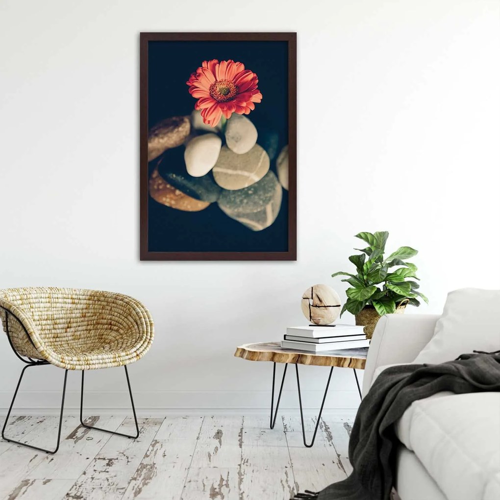 Gario Plagát Gerbera a kamene Farba rámu: Bez rámu, Rozmery: 40 x 60 cm