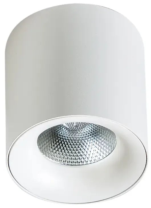 LED bodové svetlo Mane 20W biele