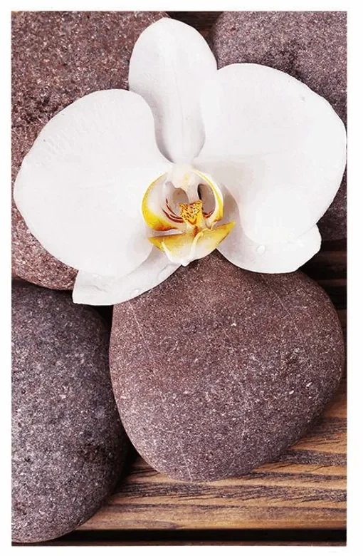 Plagát wellness kamene a orchidea na drevenom pozadí - 30x45 black