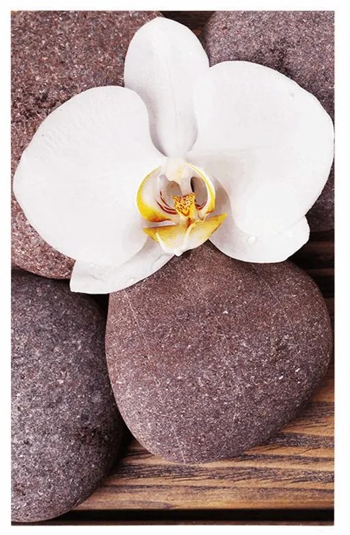 Plagát wellness kamene a orchidea na drevenom pozadí - 30x45 white