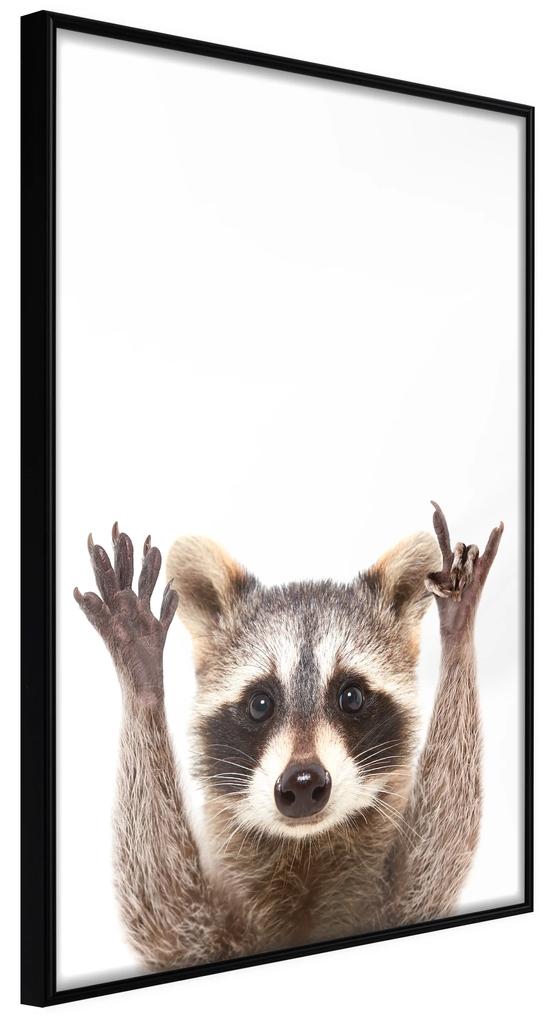 Artgeist Plagát - Raccoon [Poster] Veľkosť: 30x45, Verzia: Zlatý rám s passe-partout
