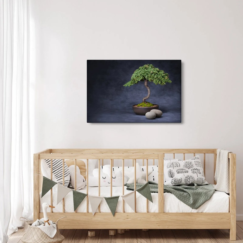Obraz - Bonsai (90x60 cm)