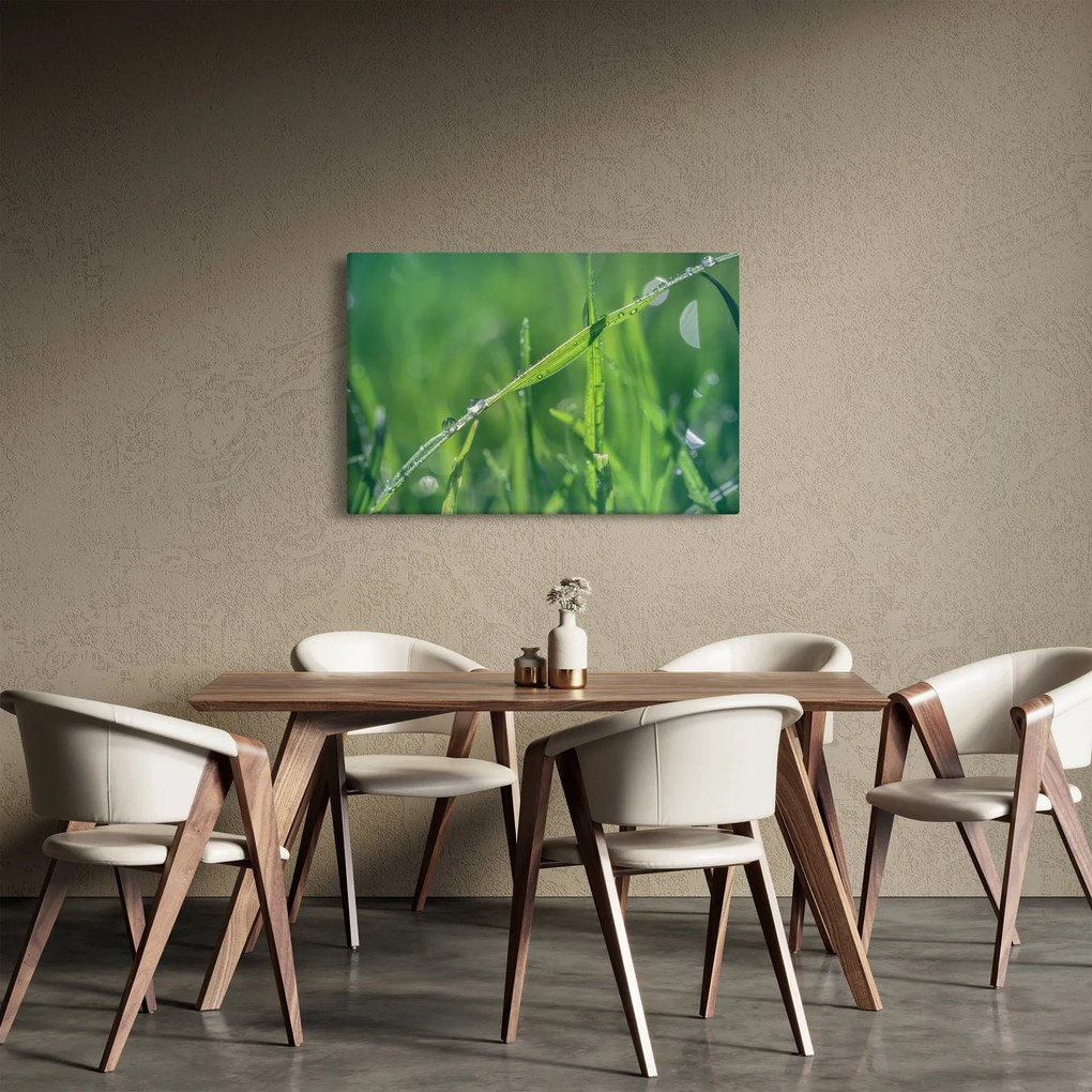 Obraz kvapiek rosy (90x60 cm)