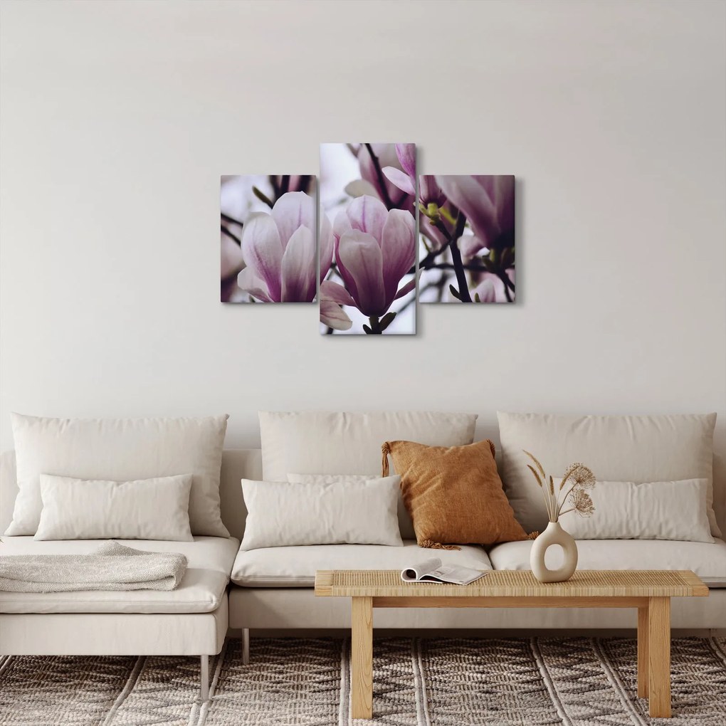 Obraz - Magnolie (90x60 cm)