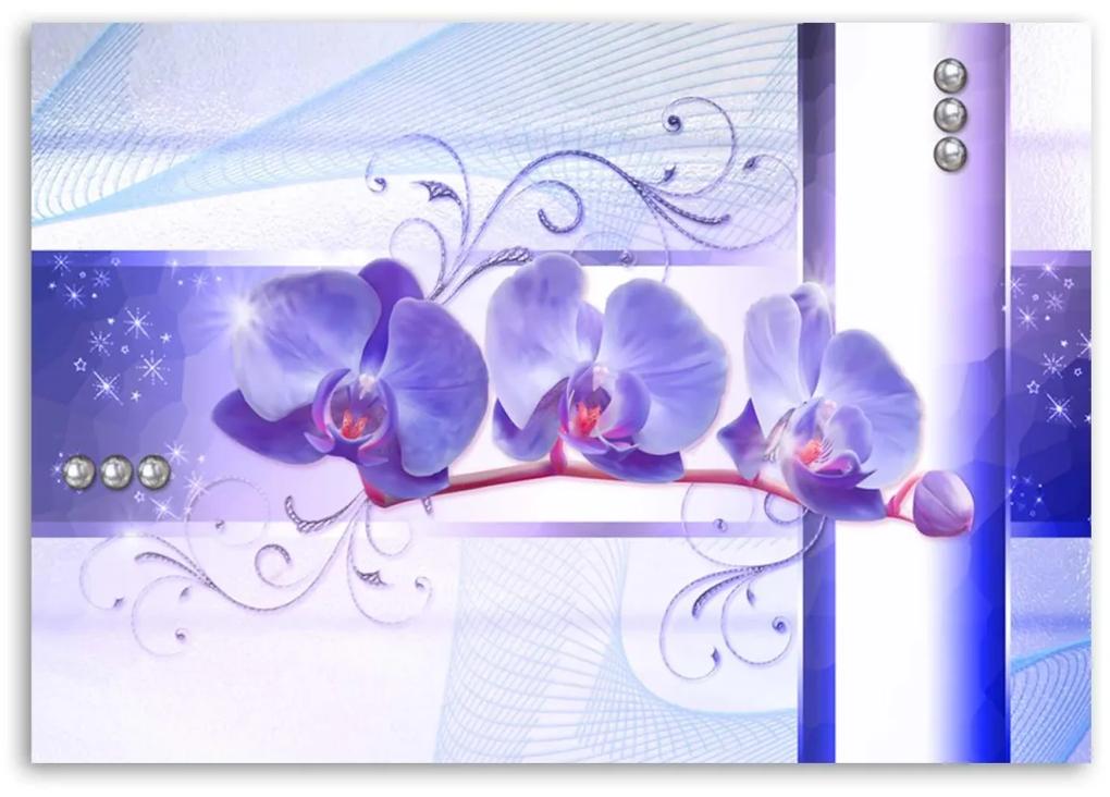 Obraz na plátně Fialová orchidej Květina - 60x40 cm