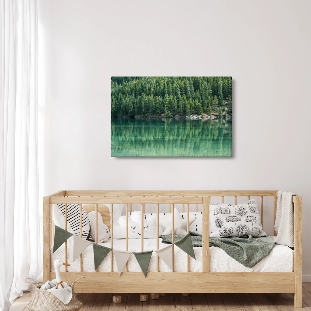 Obraz - Ihličnany pri jazere (90x60 cm)