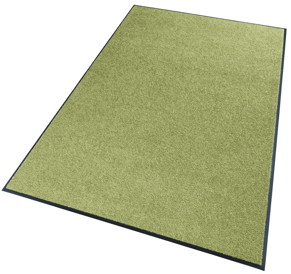 Hanse Home Collection koberce Rohožka Wash & Clean 101470 Green - 40x60 cm