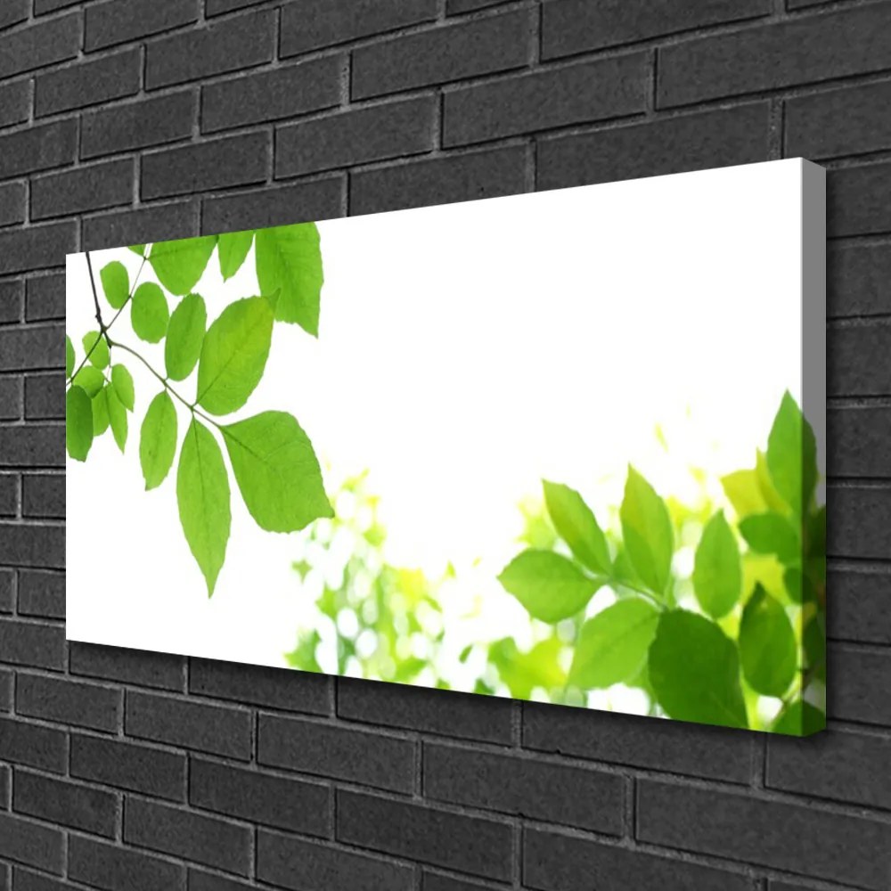 Obraz Canvas Plátky rastlina príroda 140x70 cm