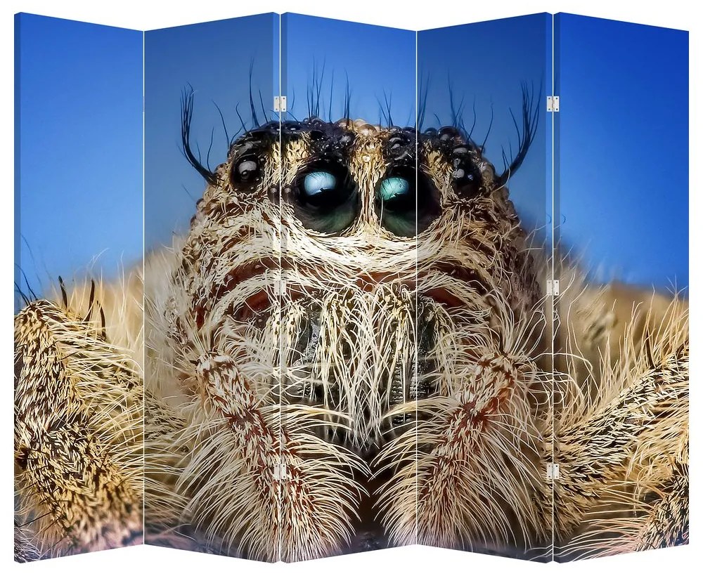 Paraván - Detail pavúka (210x170 cm)