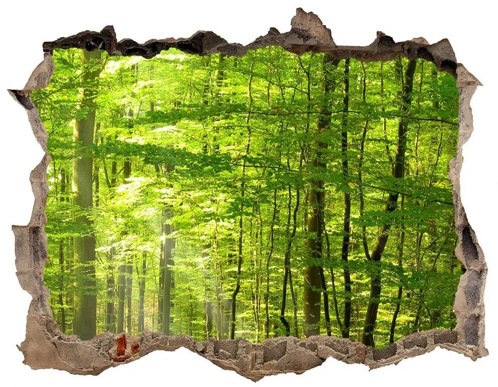 Díra 3D ve zdi na stěnu Listnatý les nd-k-31250020