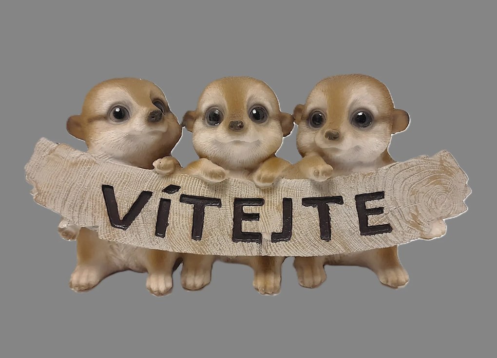 PRODEX IMPORT Figúrky Surikaty - vitajte