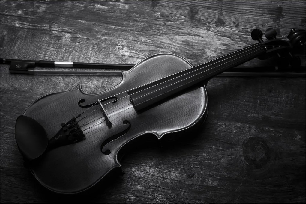 Obraz - Viola (90x60 cm)