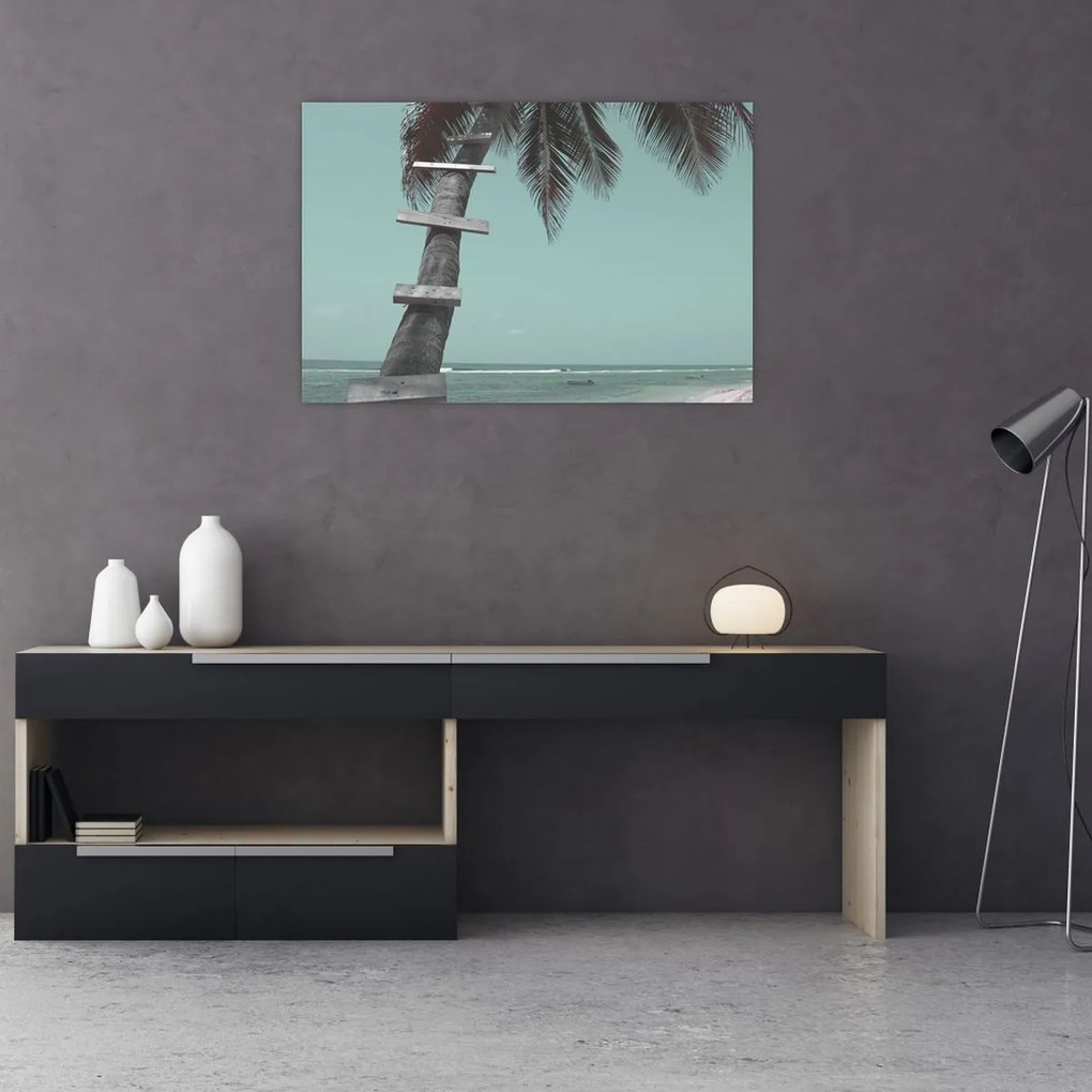 Obraz - Palma v Karibiku (90x60 cm)