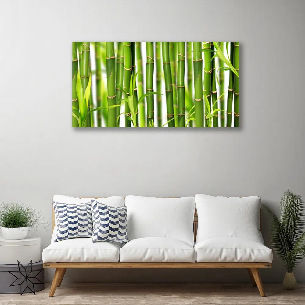 Obraz Canvas Bambusové výhonky listy bambus 140x70 cm