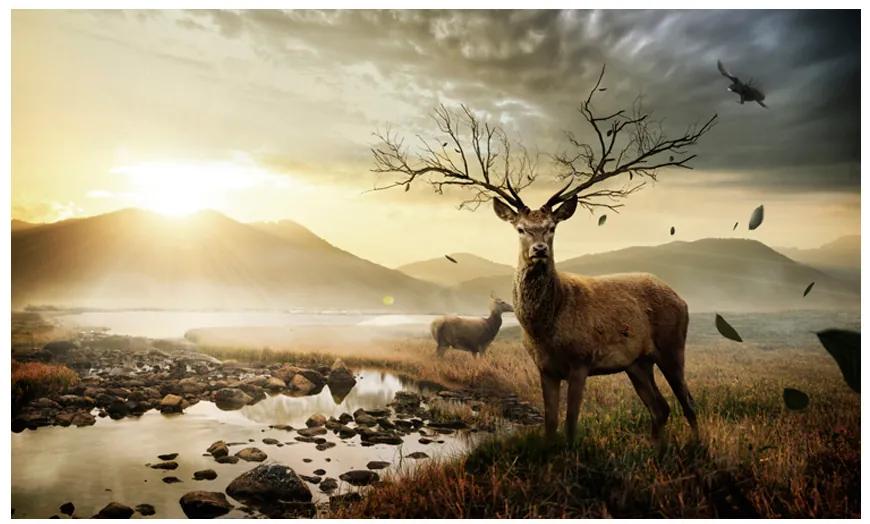 Artgeist Fototapeta - Deers by mountain stream Veľkosť: 196x154, Verzia: Samolepiaca