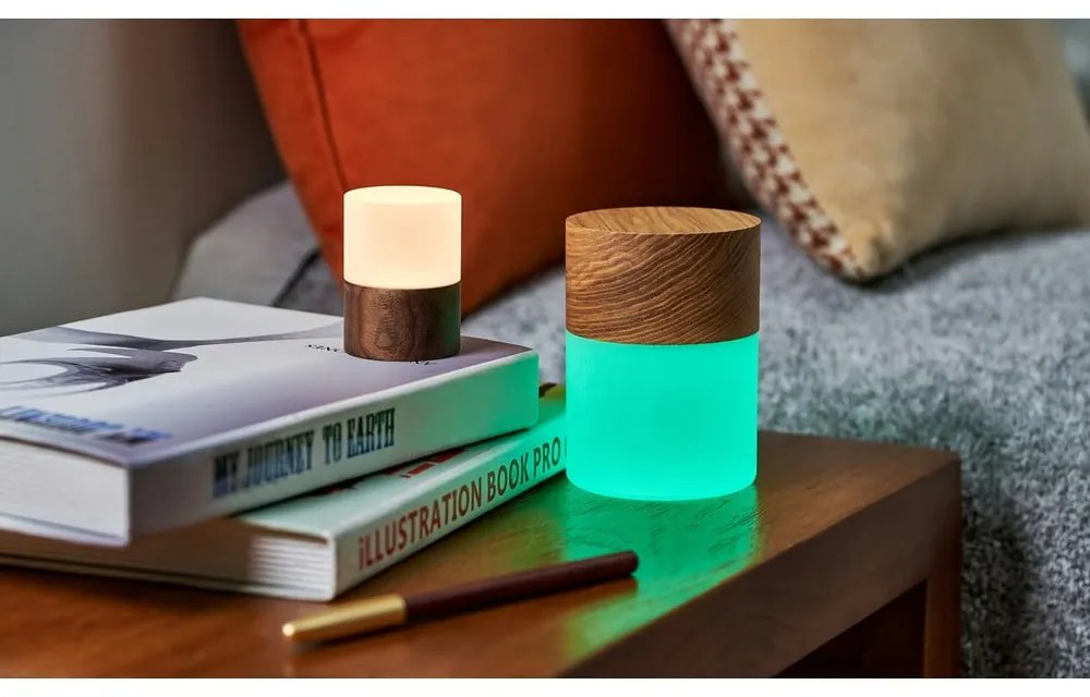 Tmavohnedá stmievateľná stolová lampa so skleneným tienidlom (výška 10,5 cm) Lemelia – Gingko