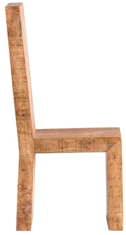 furniture-nabytek.cz - Masivní jídelní židle z mangového dřeva, lakovaná, hnědá