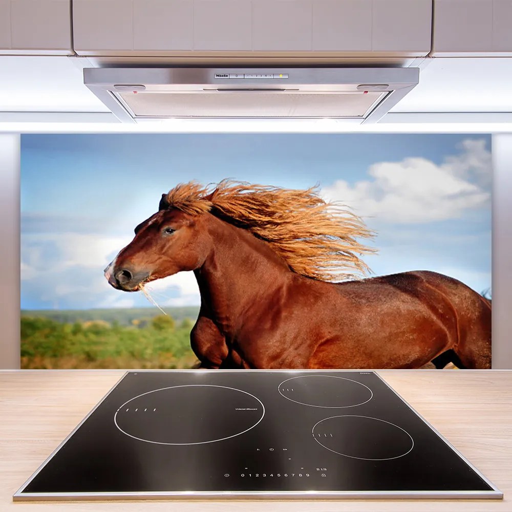 Nástenný panel  Kôň zvieratá 125x50 cm