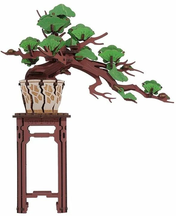 RoboTime 3D drevená skladačka Bonsai borovica