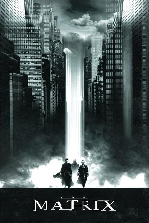 Plagát, Obraz - The Matrix - Lightfall, (61 x 91.5 cm)
