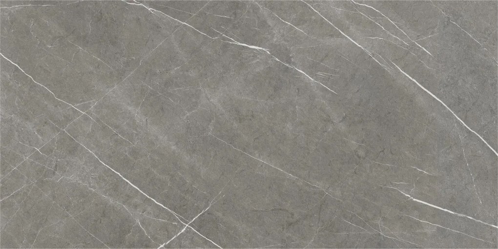Dlažba Eternal Dark Natural 60x120 R