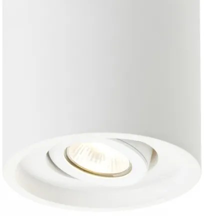 RED - Design Rendl - R10454 - Bodové svietidlo COLES 1xGU10/50W/230V