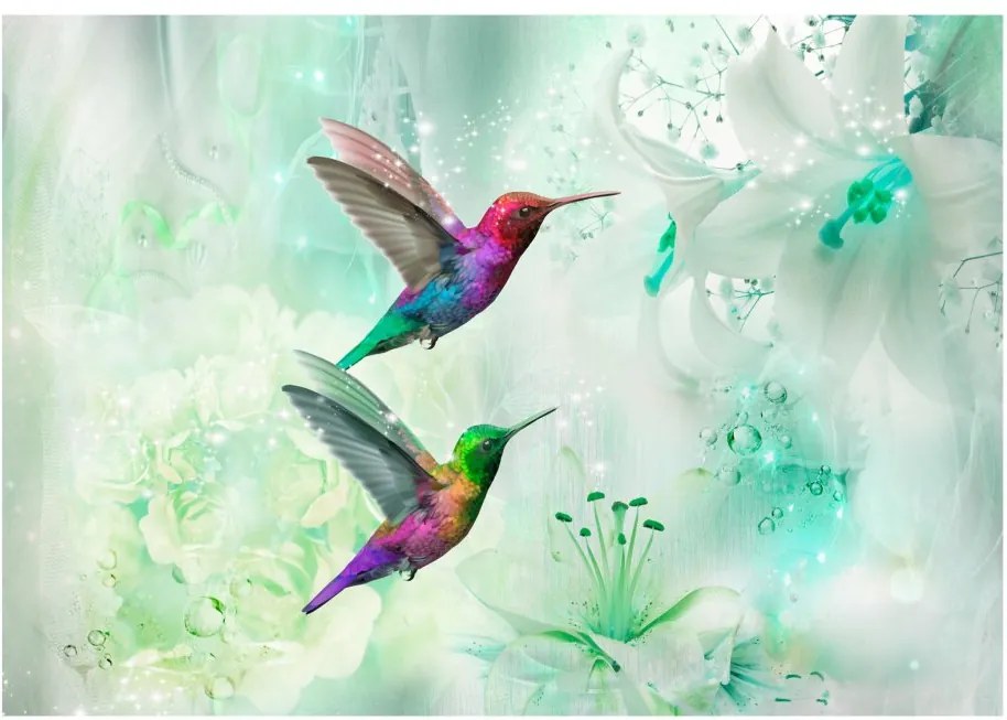 Fototapeta - Farebné kolibríky (zelené) 200x140 + zadarmo lepidlo