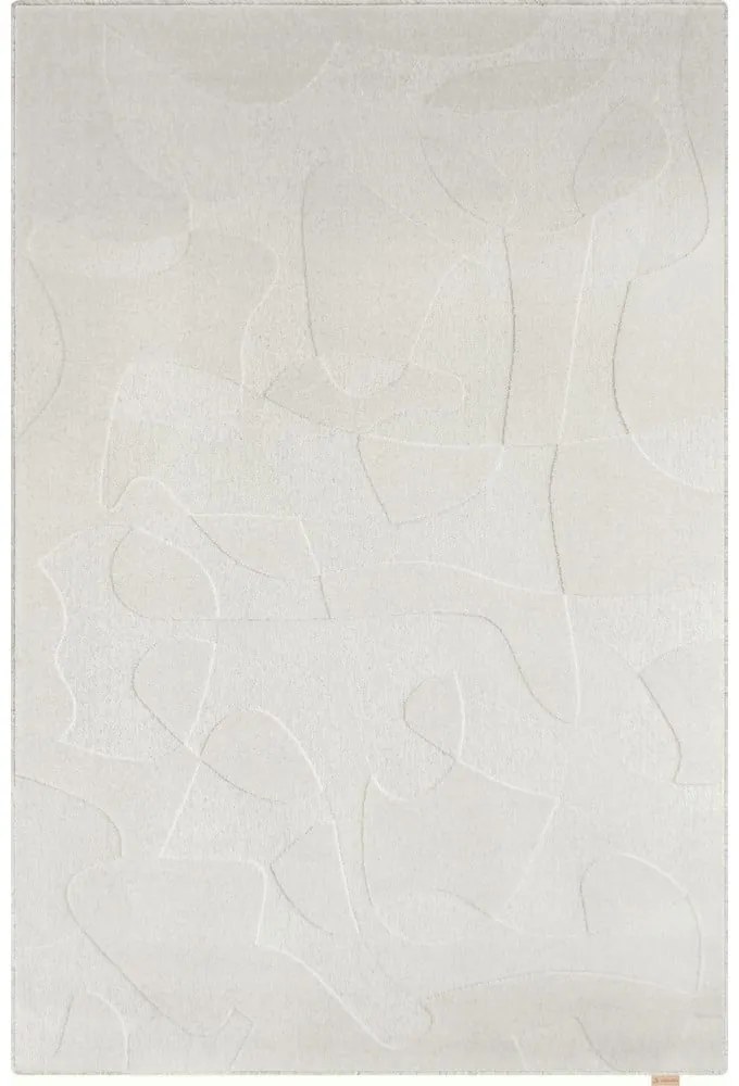 Svetlosivý vlnený koberec 160x230 cm Morphic Botanica – Agnella