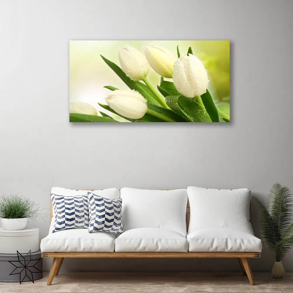 Obraz na plátne Tulipány kvety rastlina 100x50 cm