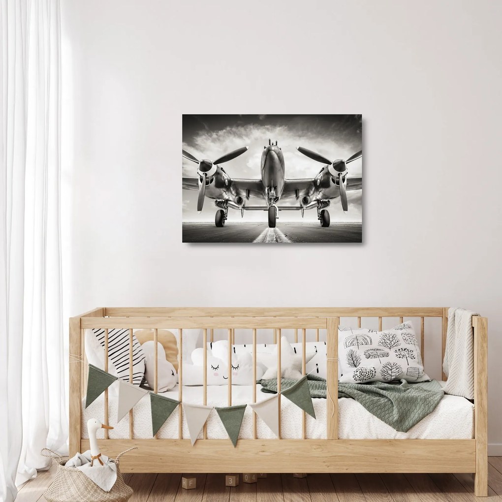 Sklenený obraz - Warbird (70x50 cm)