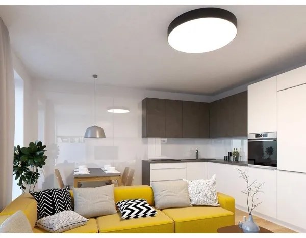 LED2 - LED Stropné svietidlo MONO LED/30W/230V 3000K/4000K čierna