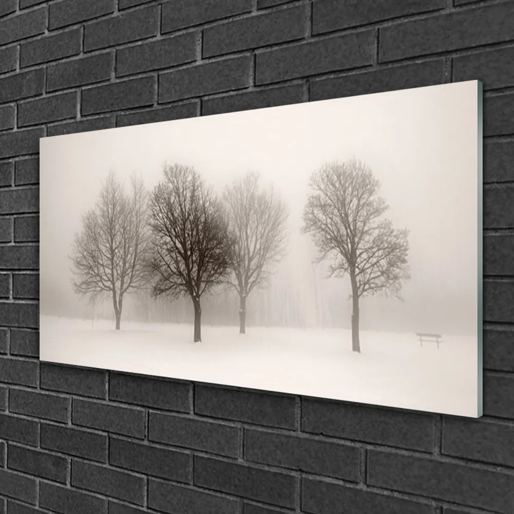 Skleneny obraz Sneh stromy príroda 100x50 cm