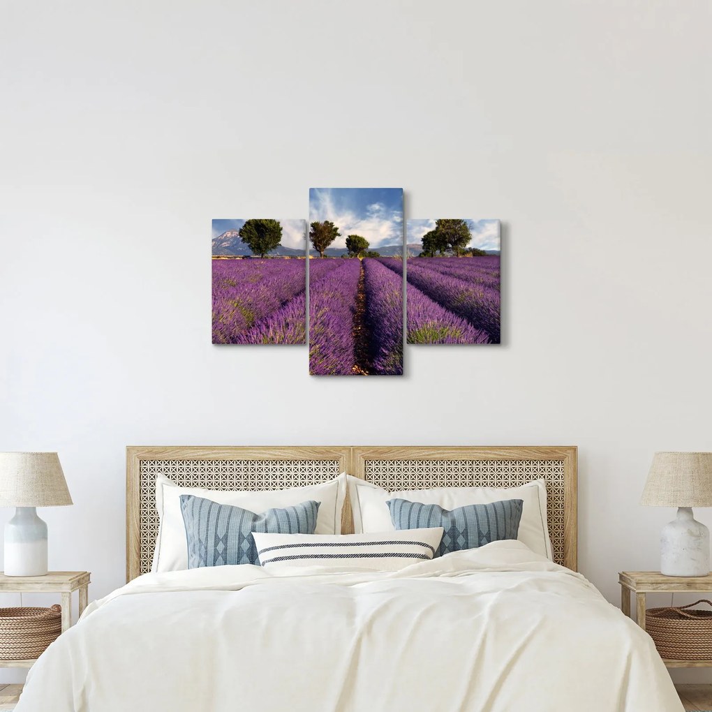 Obraz - Levanduľové pole a hory (90x60 cm)
