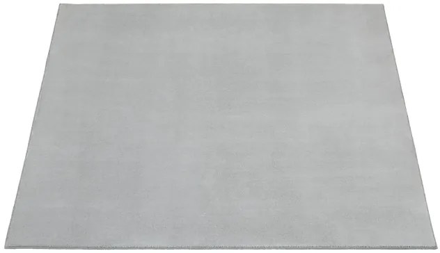 Metrážny koberec Lexus 172 svetlosivý