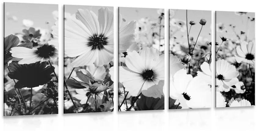 5-dielny obraz lúka jarných kvetov v čiernobielom prevedení - 200x100