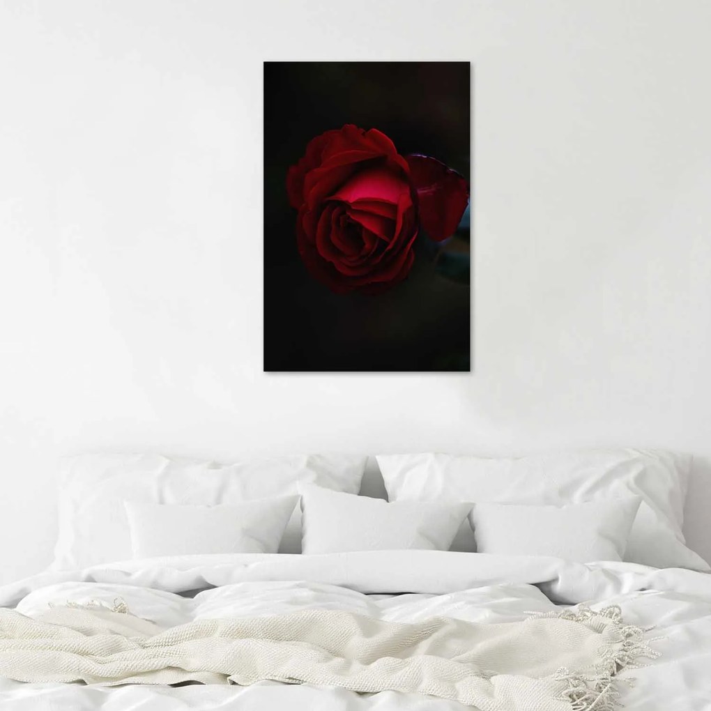 Gario Plagát Červená ruža v noci Farba rámu: Bez rámu, Rozmery: 30 x 45 cm