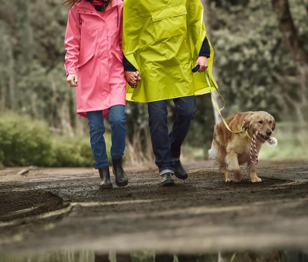 Hádzacia hračka pre psy