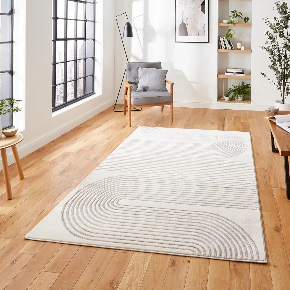 Sivý/béžový koberec 220x160 cm Apollo - Think Rugs