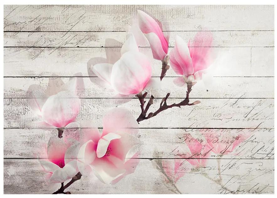 Artgeist Fototapeta - Gentleness of the Magnolia Veľkosť: 100x70, Verzia: Premium