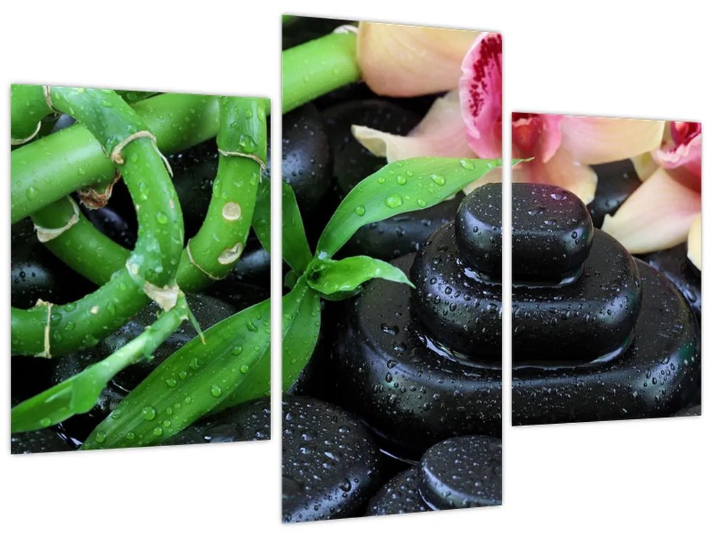 Obraz - Kamene a orchidey (90x60 cm)