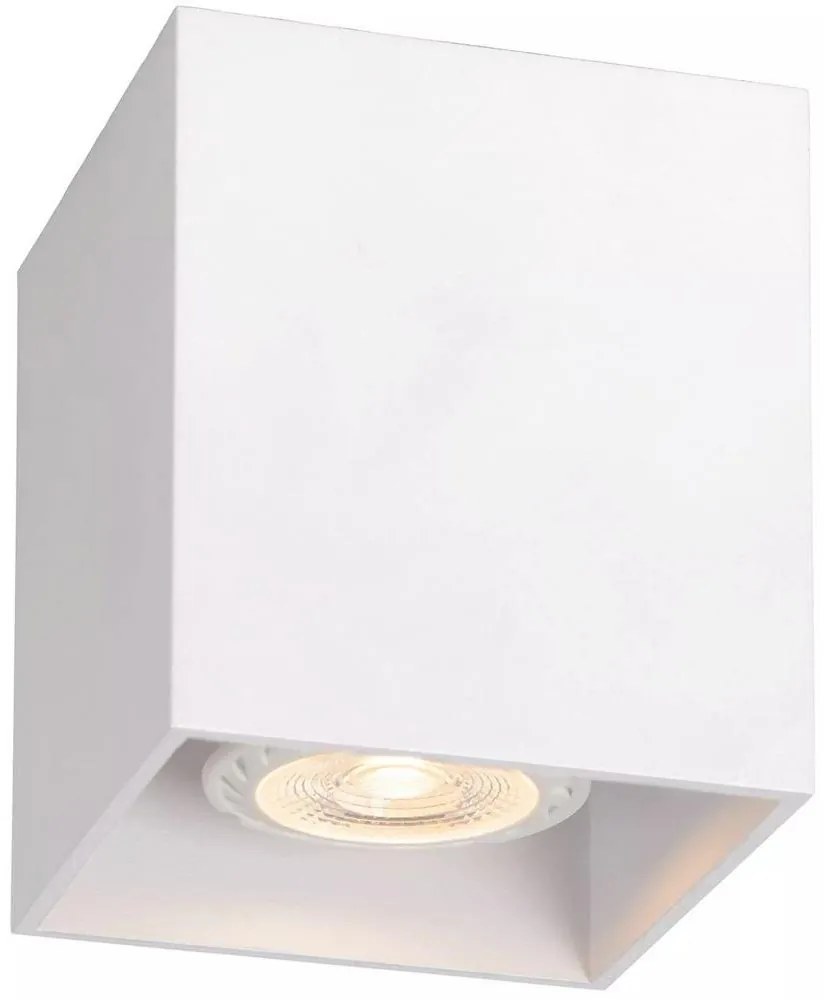 Lucide 09101/01/31 - Bodové svietidlo BODI 1xGU10/50W/230V LC0488