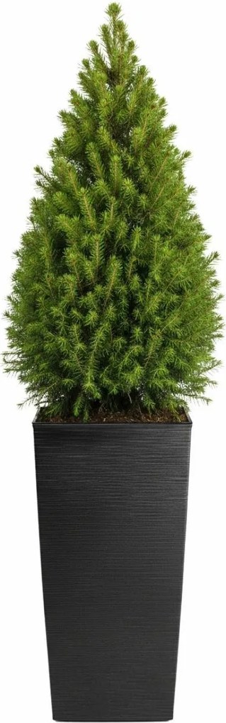 Plastový květináč Porto Riflo 75x39,6x39,6 cm černý