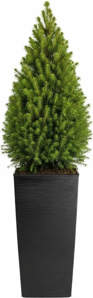 Plastový květináč Porto Riflo 75x39,6x39,6 cm černý