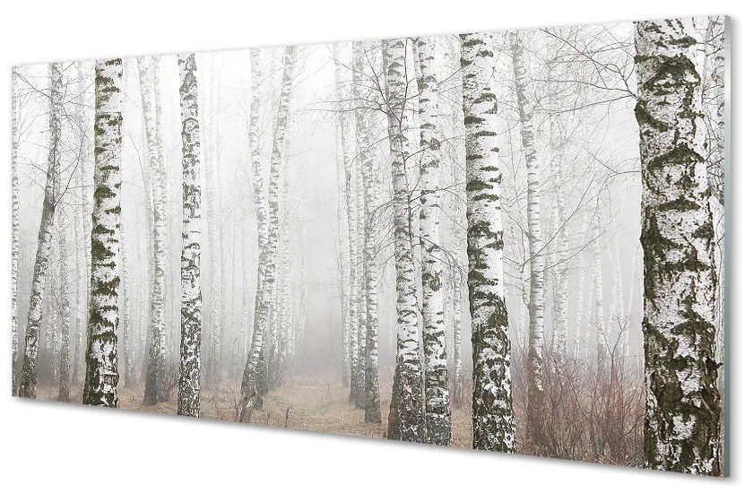 Obraz plexi Hmla breza 120x60 cm